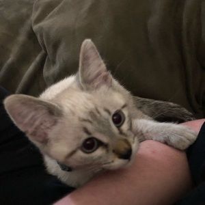 Meet your Posher, Ashtyn